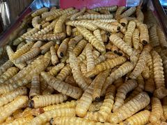 -昆虫窝子·特色云南菜(拓东路总店)