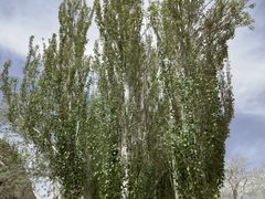 -敦煌石窟文物保护研究陈列中心