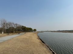 -春花秋色城市公园