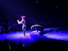 -珠海横琴长隆《卡卡虎奇遇记》