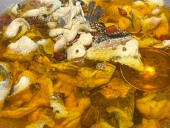 -雲蜀龙阁·金牌水煮鱼(方庄店)