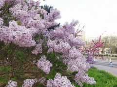 -中关村生命科学园