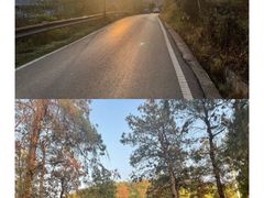 -青龙山国家森林公园
