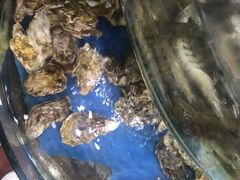 -蓝珊甄选海鲜自助·火锅大排档(近阿那亚店)