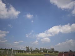 -盐城丹顶鹤湿地生态旅游区