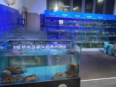 -蟹老板的海鲜