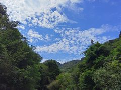 -广州白江湖森林公园