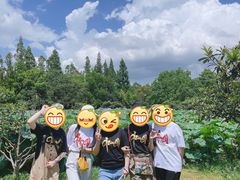 -乌村