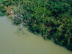 -下渚湖国家湿地公园科普馆