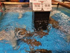 -七鲜超市(瑞虹天地太阳宫店)