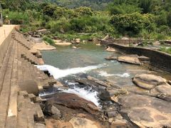 -九龙江国家森林公园