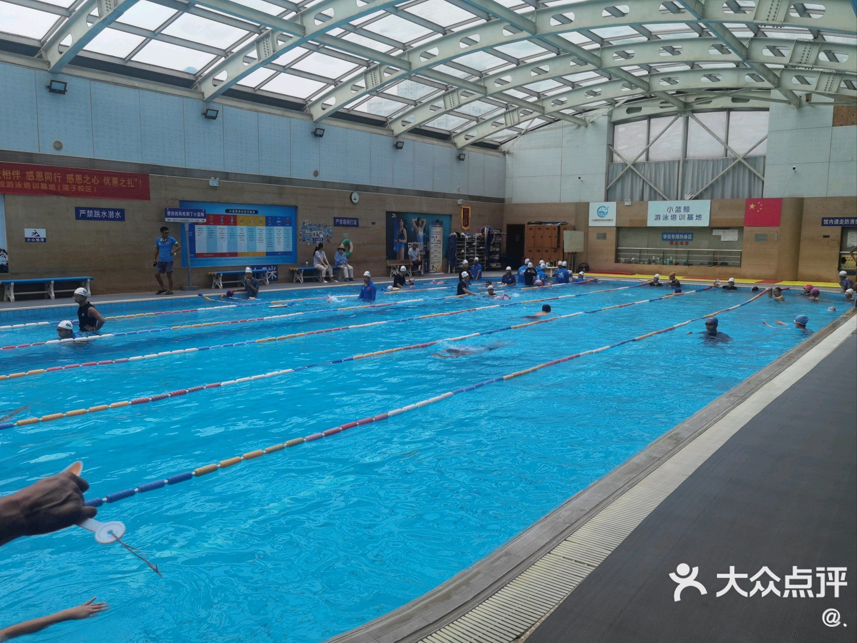 都能在此畅享游泳的乐趣,强烈推荐!😃
