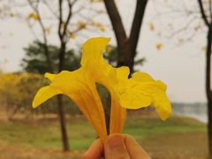 -松山湖风景区松湖烟雨