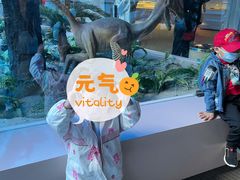 -辽宁古生物博物馆