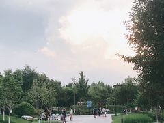 -东升文体公园