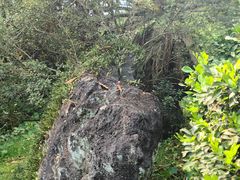 -海口火山口国家地质公园