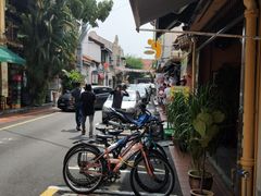 -马六甲鸡场街