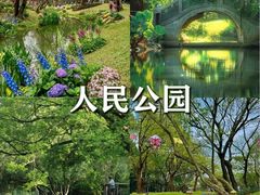 -四海公园(南山区)
