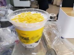 -加减茶饮(高沙店)