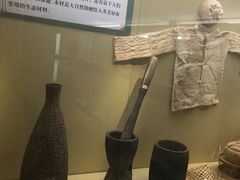 -北京植物园-展览温室