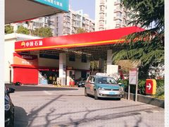 -中石油油气站(绿园店)