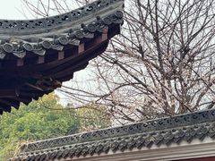 -长春观