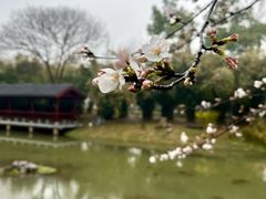 -堤角公园