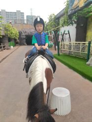 -宝燕乐园(闵行旗舰店)