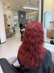 -GANO HAIR 