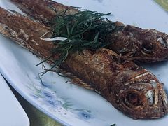 -海鲜街菜馆(海珠南路店)