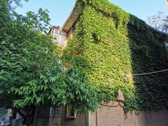 -陕西师范大学(雁塔校区)