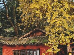 -佛荫寺