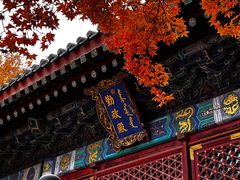-香山公园
