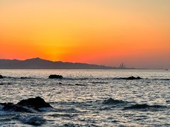 -海岛日记(养马岛店)