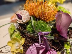 -花到家(富贵鸟花艺行)