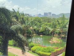 -童趣廊·儿童波波池·海洋球(长隆横琴湾酒店)
