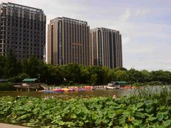 -南翔镇银翔湖公园