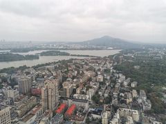 -紫峰大厦