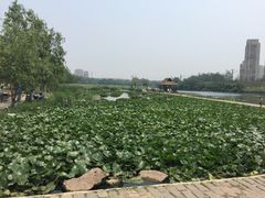 -前关湿地公园