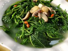 辣椒叶-金麒麟美食城