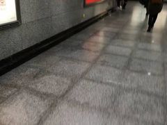 -陆家浜路(地铁站)