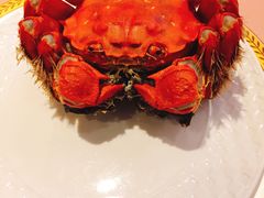 -王宝和酒家(黄浦店)