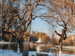 -沈阳南湖公园