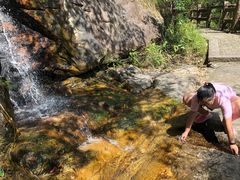 -花岩国家森林公园