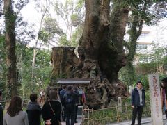 -来宫神社