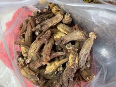-清平中药材专业市场