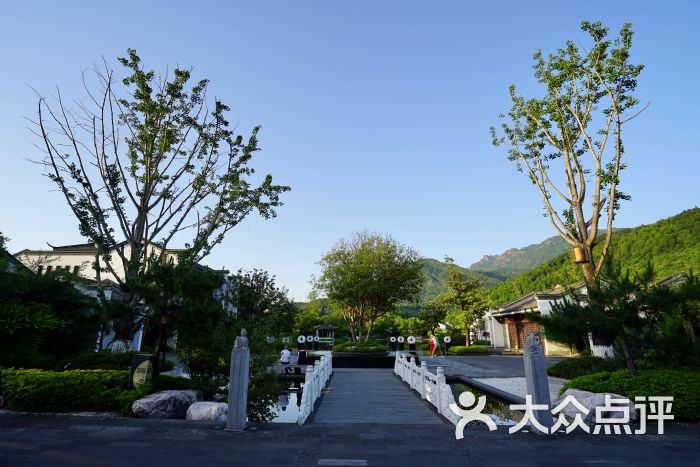 九华山涵月楼度假酒店图片 - 第177张