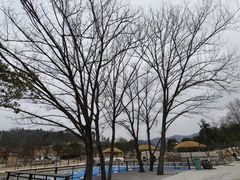 -黄陂区野村谷景区