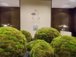 -广州文华东方酒店·水疗中心