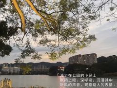 -永安龟山公园